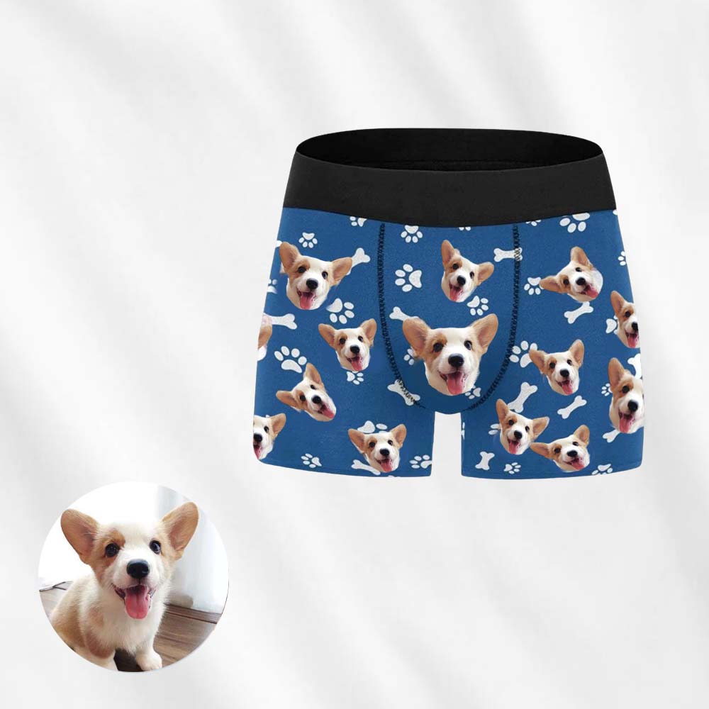 custom dog boxers