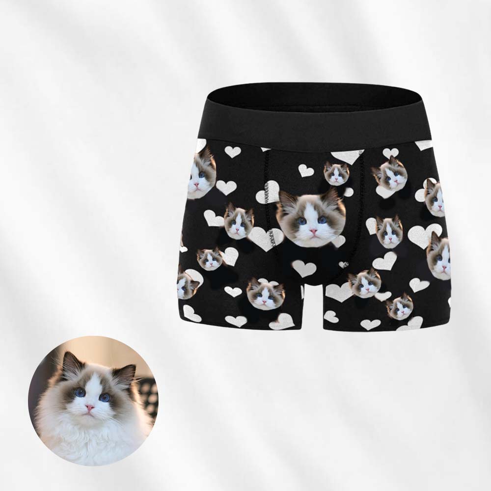 custom pet boxers